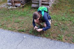 Martina stalked eine Weinbergschnecke