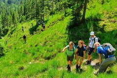 Beim Abstieg ins Lassingtal