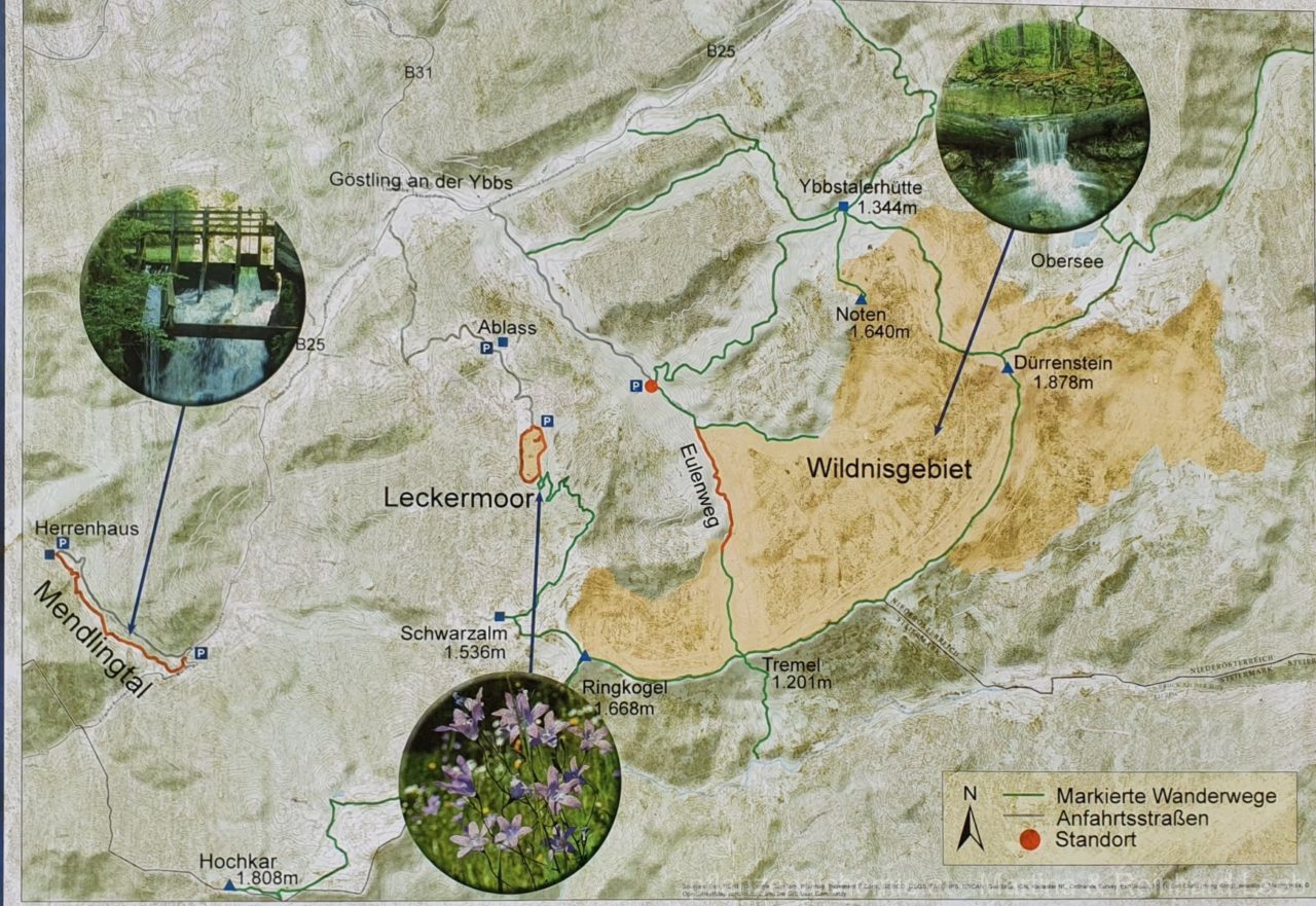 Der Lageplan des Wildnisgebietes Dürrenstein